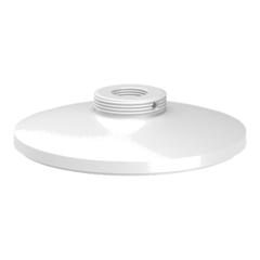 Pendant Cap Mount