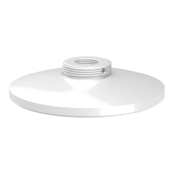 Pendant Cap Mount